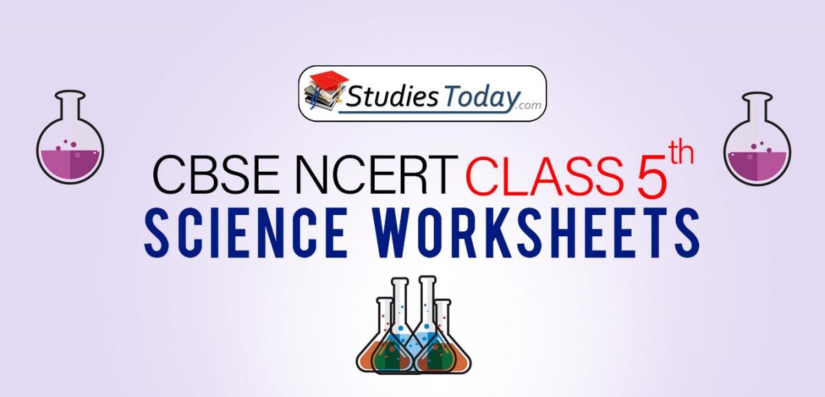 Worksheets for Class 5 Science